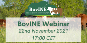 BovINE logo with text announcing the webinar, cows grazing on green pasture in backround.