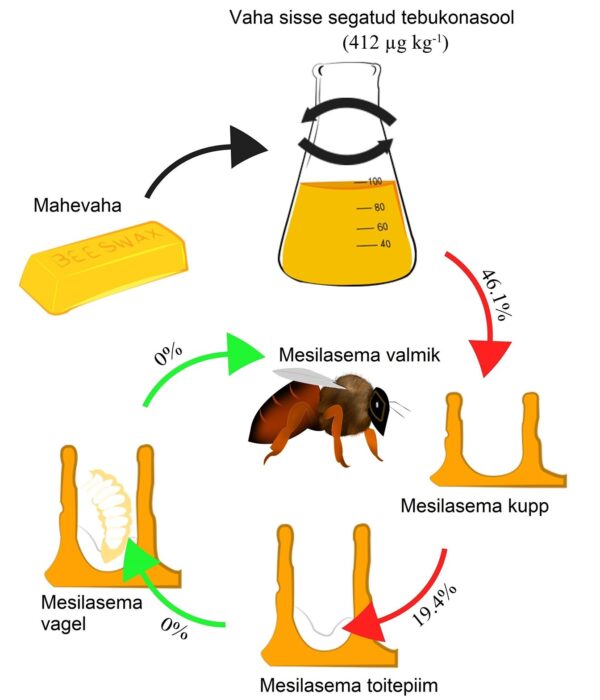 Skeem pestitsiidide liikumise kohta mesindussaadustes