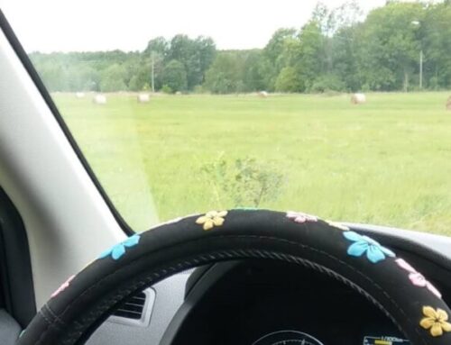 Trendid ja konkurentsivõime Eesti põllumajanduses