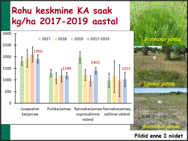 PLK rohu keskmine kuivaine saak 2017-2019