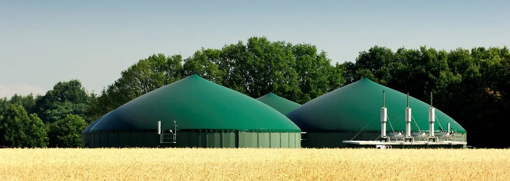 Biogaasijaampõldude vahel