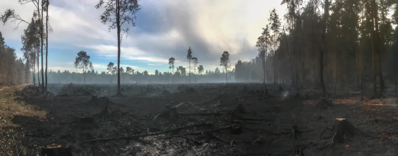 Aurav metsatulekahju ala. Foto: Janek Laanemäe