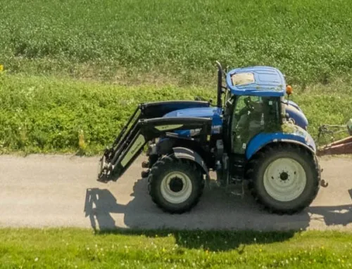 Heintaimede sileerimise esmane info 2026