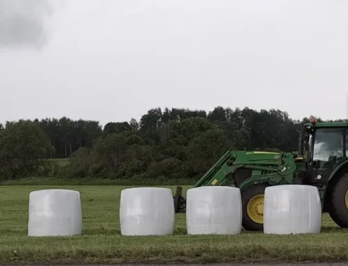 Jätkusuutliku silotootmise käsiraamat