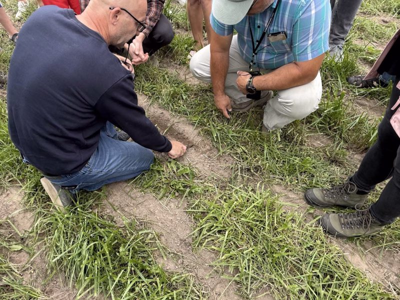 Jaanus Lindsalu, Taavi Võsa ja Evelin Pihlap uurimas mulda ribaväetamise põllul