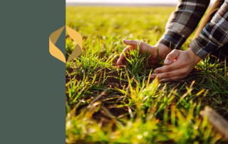 Kaks kätt orase põllul