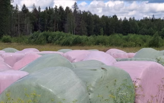 värvilised siloruloonid korratult
