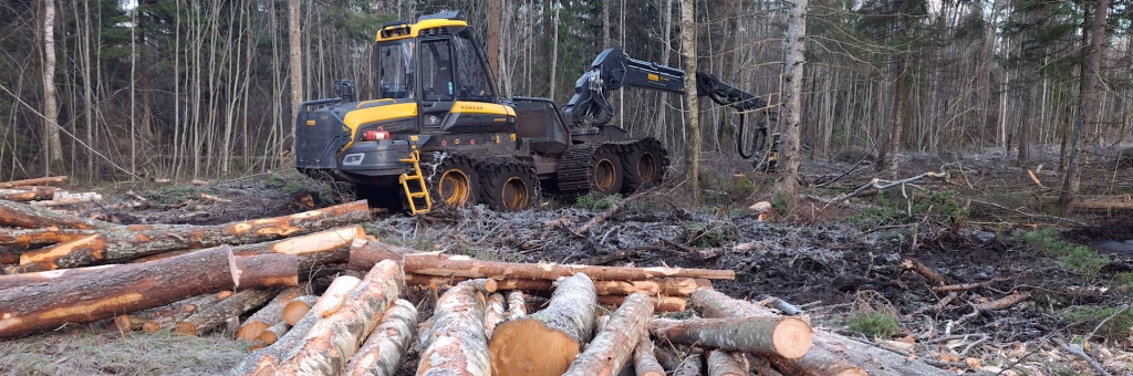 metsatööde masin ja palgid